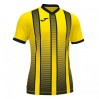 Футболка Joma Tiger II 101464.901 колір: жовтий/чорний