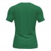 Футболка Joma Flag II 101465.452 цвет: зеленый/белый