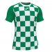 Футболка Joma Flag II 101465.452 цвет: зеленый/белый