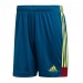 Ігрові футбольні шорти Adidas Tastigo 19 411