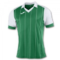 Ігрова футболка Joma Grada 100680.452 колір: зелений/білий
