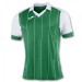 Ігрова футболка Joma Grada 100680.452 колір: зелений/білий
