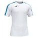 Футболка Joma Academy III 101656.207 колір: білий/синій