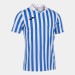 Ігрова футболка Joma Copa II 101873.207 колір: білий-синій