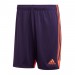 Ігрові футбольні шорти Adidas Tastigo 19 252
