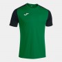 Ігрова футболка Joma Academy IV 101968.451 колір: зелений-чорний
