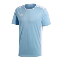 Ігрова футболка Adidas Entrada 18 колір: голубий