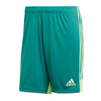 Ігрові футбольні шорти Adidas Tastigo 19 251