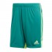 Ігрові футбольні шорти Adidas Tastigo 19 251