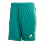 Игровые шорты Adidas Tastigo 19 251