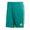 Ігрові футбольні шорти Adidas Tastigo 19 251