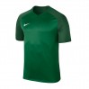 Ігрова футболка Nike Dry Trophy III Jersey колір: зелений