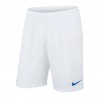Nike Laser Woven III Short 101