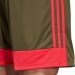 Ігрові футбольні шорти Adidas Tastigo 19 254