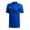 Ігрова футболка Adidas Campeon 19 810