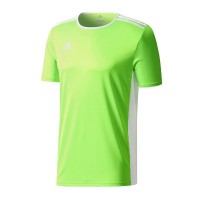 Ігрова футболка Adidas Entrada 18 колір: салатовий