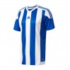 Игровая футболка adidas T-Shirt Striped 15 138
