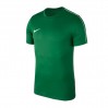 Ігрова футболка Nike Dry Park 18 SS колір: зелений