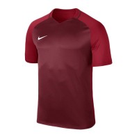 Ігрова футболка Nike Dry Trophy III Jersey колір: бордовий