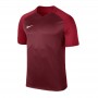 Ігрова футболка Nike Dry Trophy III Jersey колір: бордовий