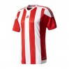 Ігрова футболка adidas T-Shirt Striped 15 137