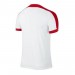 Nike Striker IV T-shirt 101