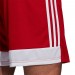 Ігрові футбольні шорти Adidas Tastigo 19 681