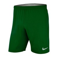 Ігрові футбольні шорти Nike Laser Woven IV колір: зелений