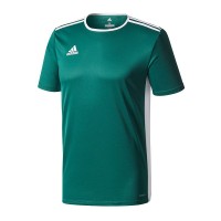 Ігрова футболка Adidas Entrada 18 колір: зелений