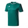 Ігрова футболка Adidas Entrada 18 колір: зелений