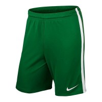 Игровые шорты Nike League Knit Short цвет: зеленый 302