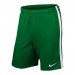 Игровые шорты Nike League Knit Short цвет: зеленый 302