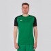 Ігрова футболка Joma Academy IV 101968.451 колір: зелений-чорний