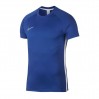 Тренировочная футболка Nike Dry Academy Top T-shirt 480