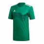 Ігрова футболка Adidas Campeon 19 811