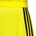 Ігрові футбольні шорти Adidas Tastigo 19 249