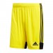 Ігрові футбольні шорти Adidas Tastigo 19 249