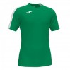 Футболка Joma Academy III 101656.452 колір: зелений/білий