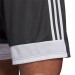 Ігрові футбольні шорти Adidas Tastigo 19 255