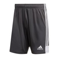Ігрові футбольні шорти Adidas Tastigo 19 255