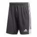 Ігрові футбольні шорти Adidas Tastigo 19 255