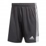 Игровые шорты Adidas Tastigo 19 255