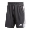 Ігрові футбольні шорти Adidas Tastigo 19 255