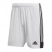 Ігрові футбольні шорти Adidas Tastigo 19 247