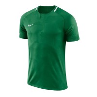 Ігрова футболка Nike Challenge II колір: зелений