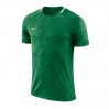 Ігрова футболка Nike Challenge II колір: зелений