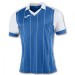Футболка игровая Joma Grada 100680.702 цвет: голубой/белый