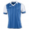 Футболка игровая Joma Grada 100680.702 цвет: голубой/белый