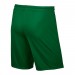 Nike JR Short Park II Knit 302