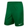 Nike JR Short Park II Knit 302
